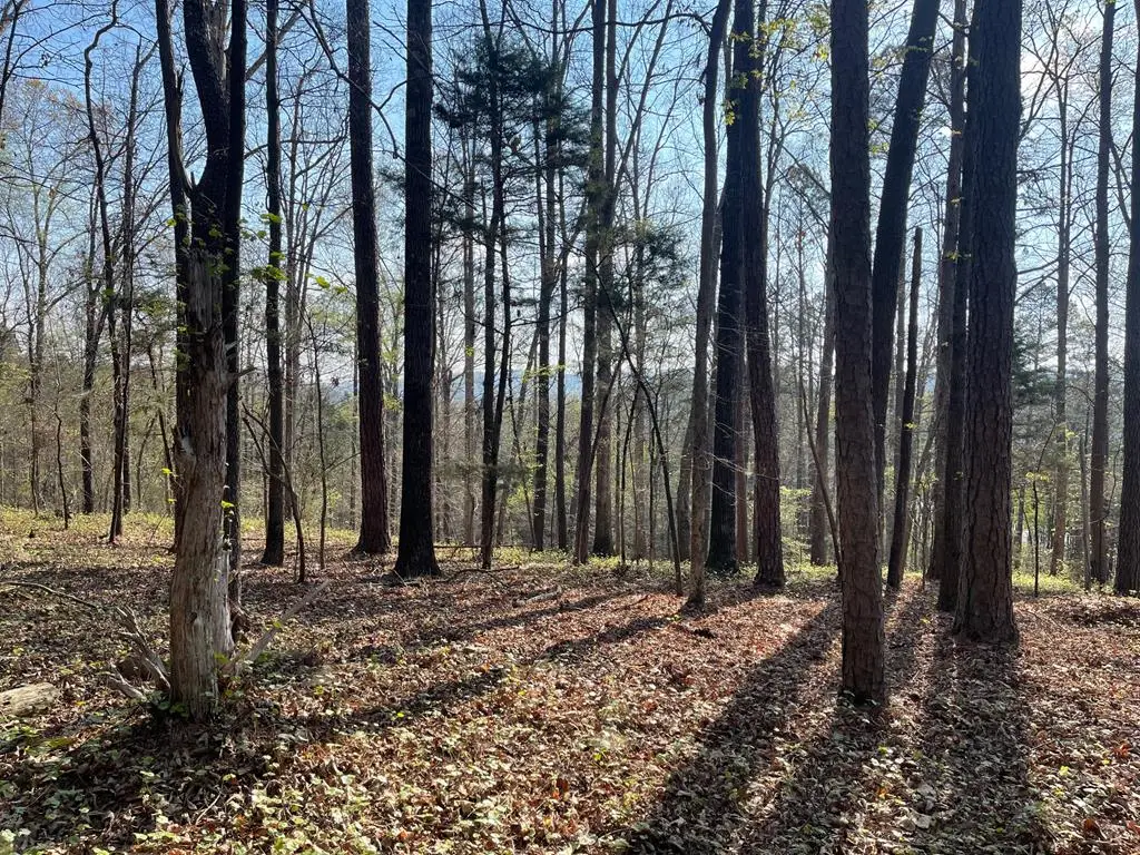 Lot 12 Chalcrest Way, Cave Spring, GA 30124 - #1