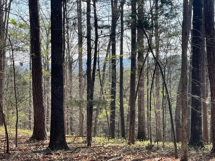 Lot 12 Chalcrest Way, Cave Spring, GA 30124 - #2