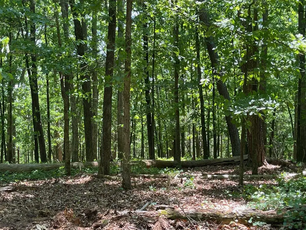Lot 13 Chalcrest Way, Cave Spring, GA 30124 - #1