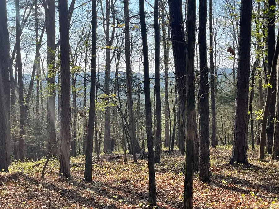 Lot 13 Chalcrest Way, Cave Spring, GA 30124 - #2