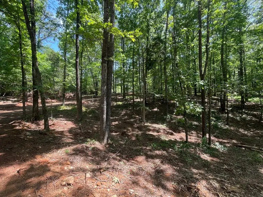 Lot 13 Chalcrest Way, Cave Spring, GA 30124 - #3