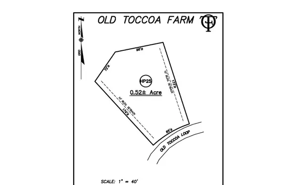 HP25 Old Toccoa Loop, Mineral Bluff, GA 30559
