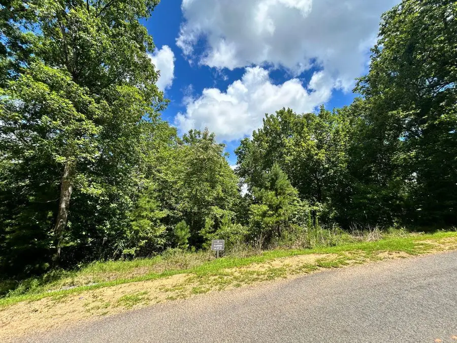 HP25 Old Toccoa Loop, Mineral Bluff, GA 30559 - #3