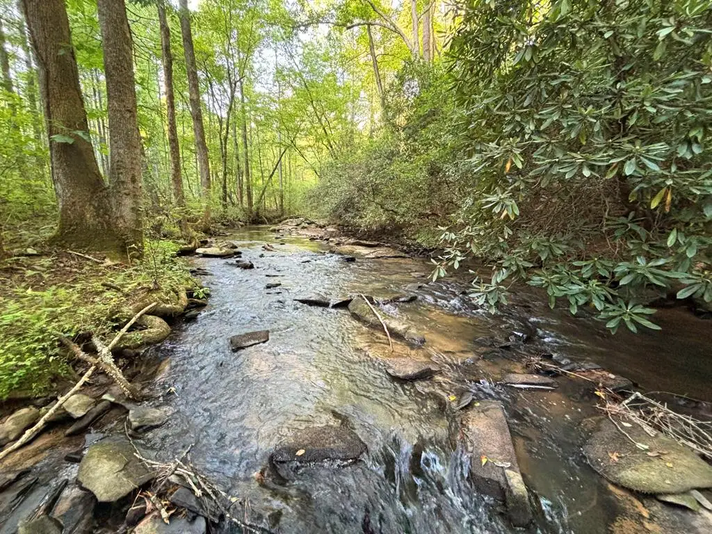 443 Mt. Springer Road, Ellijay, GA 30540 - #1