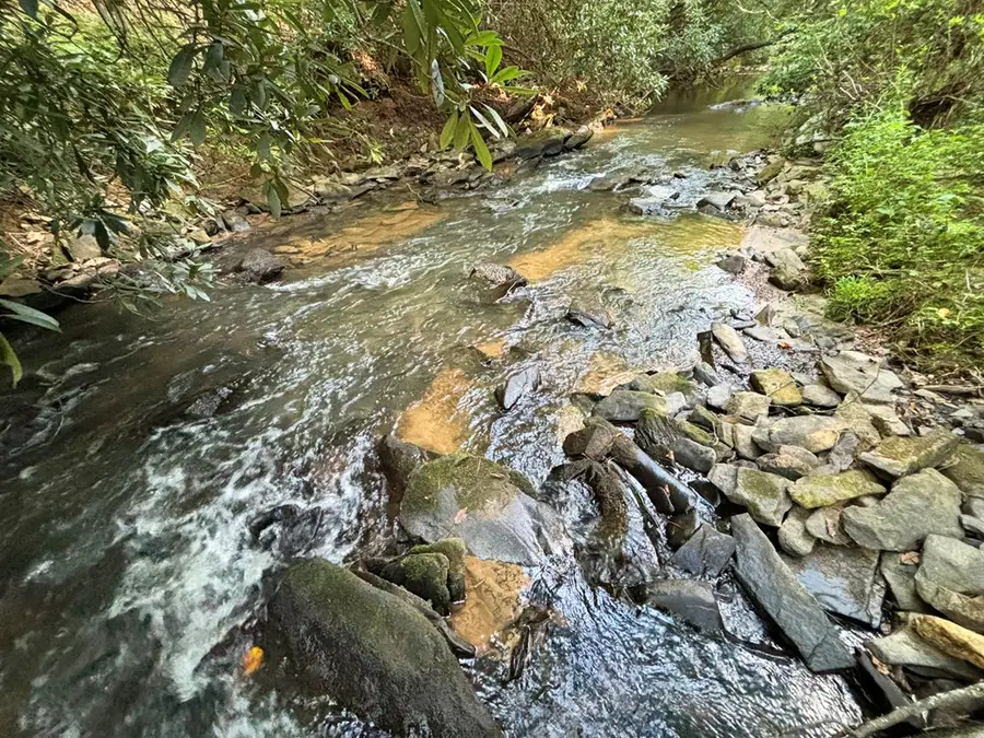 443 Mt. Springer Road, Ellijay, GA 30540 - #3