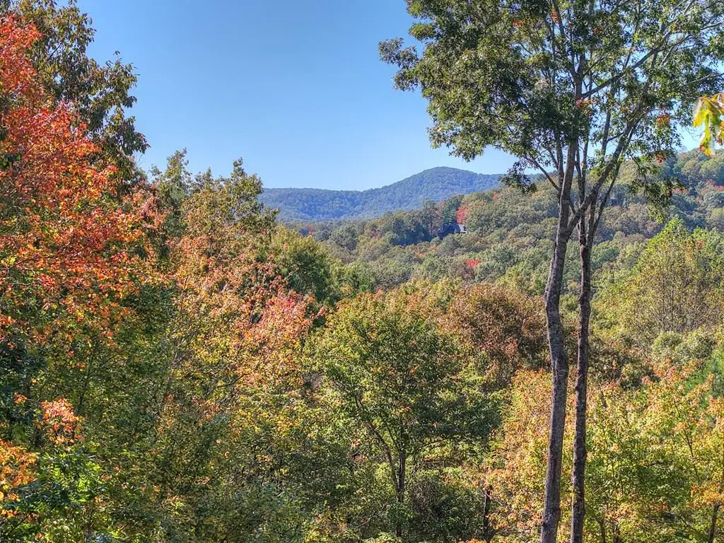 240 Lower Prince Mountain Road, Cherry Log, GA 30522 - #1