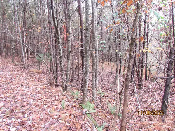 Tract 5 Wikle Road, Hayesville, NC 28904