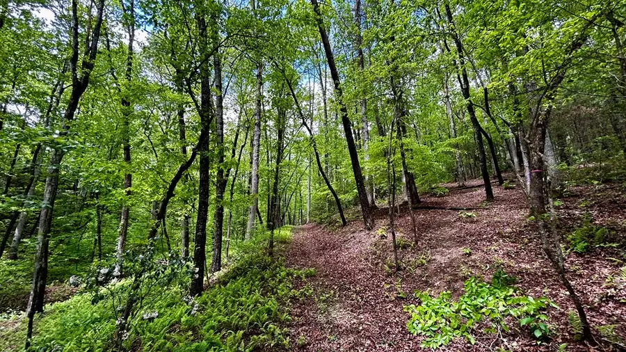 LT 12 Frances Drive, Ellijay, GA 30536 - #3