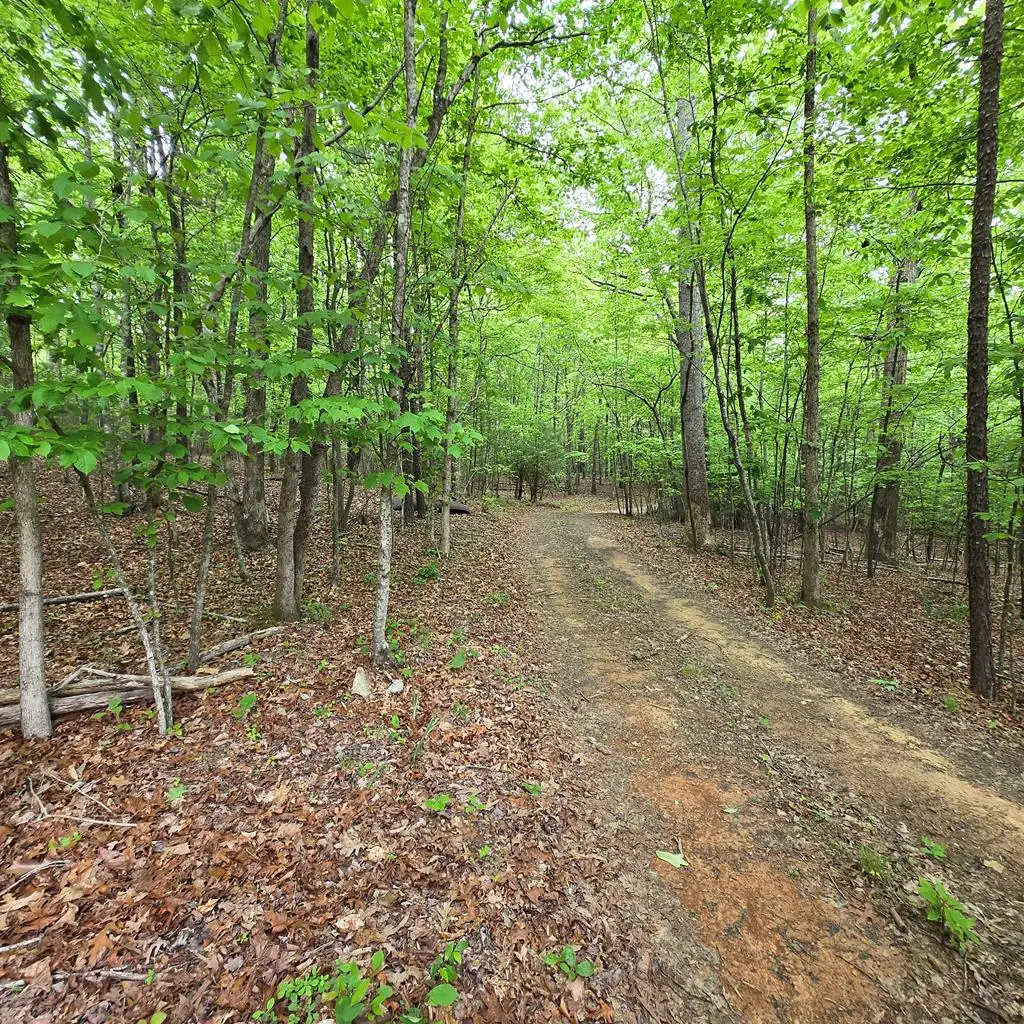 3.5acre Dusty Trail, Morganton, GA 30560 - #1