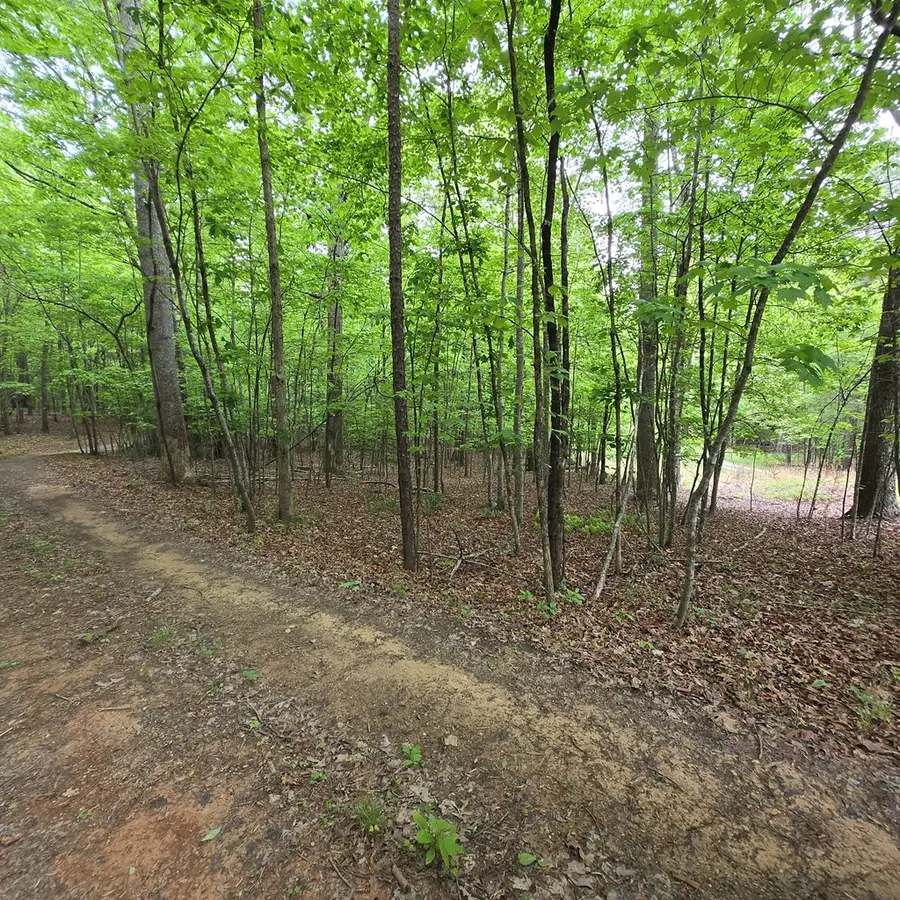 3.5acre Dusty Trail, Morganton, GA 30560 - #2