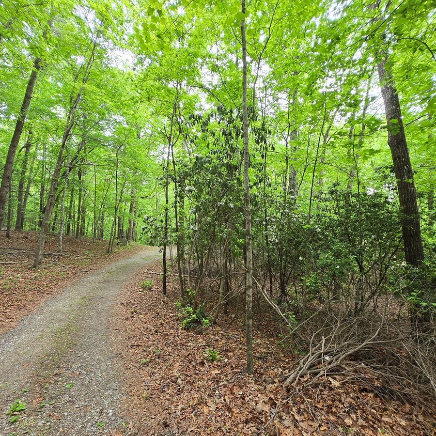 3.5acre Dusty Trail, Morganton, GA 30560 - #3