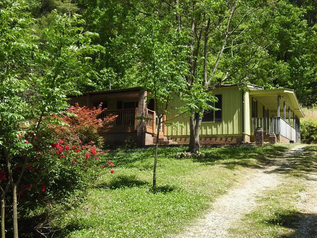 9503 Tails Creek Road, Ellijay, GA 30540 - #1