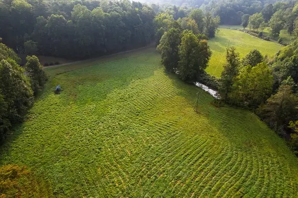 228 Holly Branch Drive, Ellijay, GA 30540