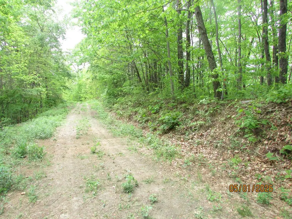 0 Taylor Knob Drive, Hayesville, NC 28904 - #1