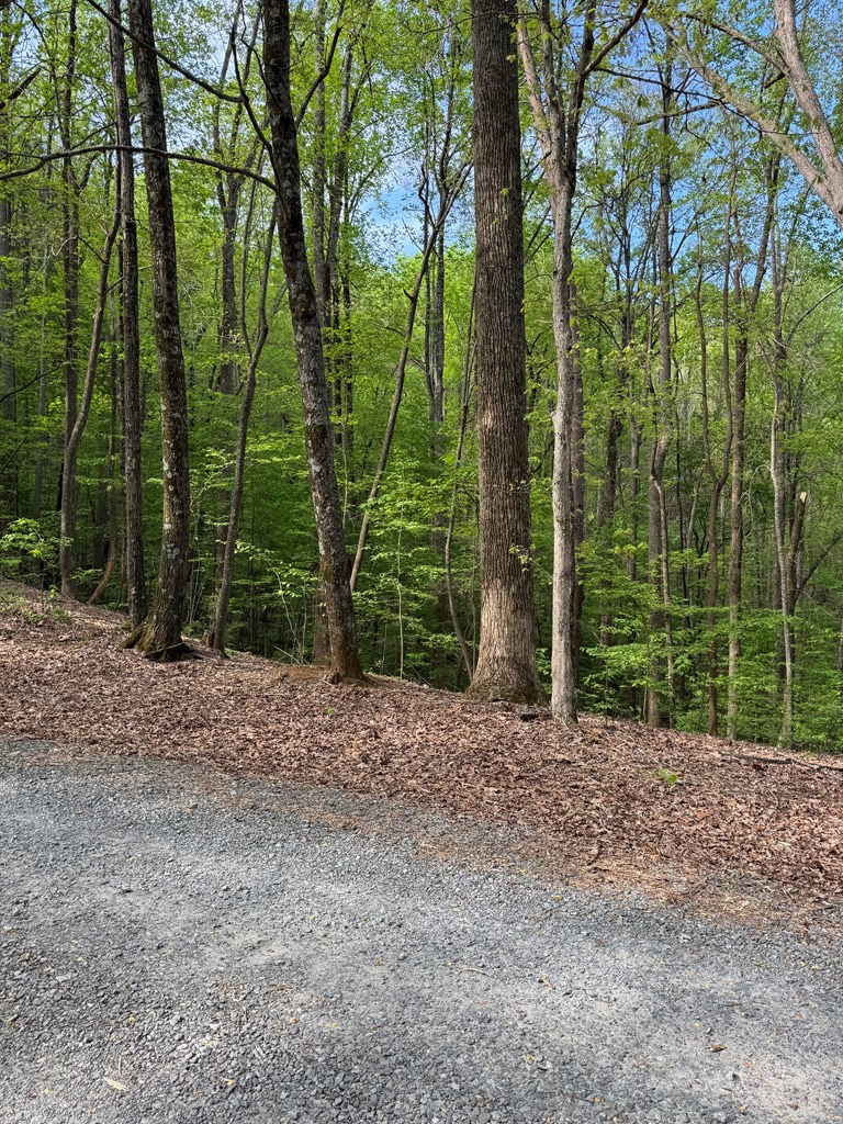 0 Mountain View Court, Ellijay, GA 30536 - #2