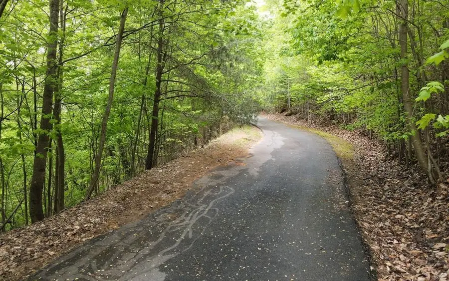 lot 118 Croft Mountain Road, Blairsville, GA 30512 - #2