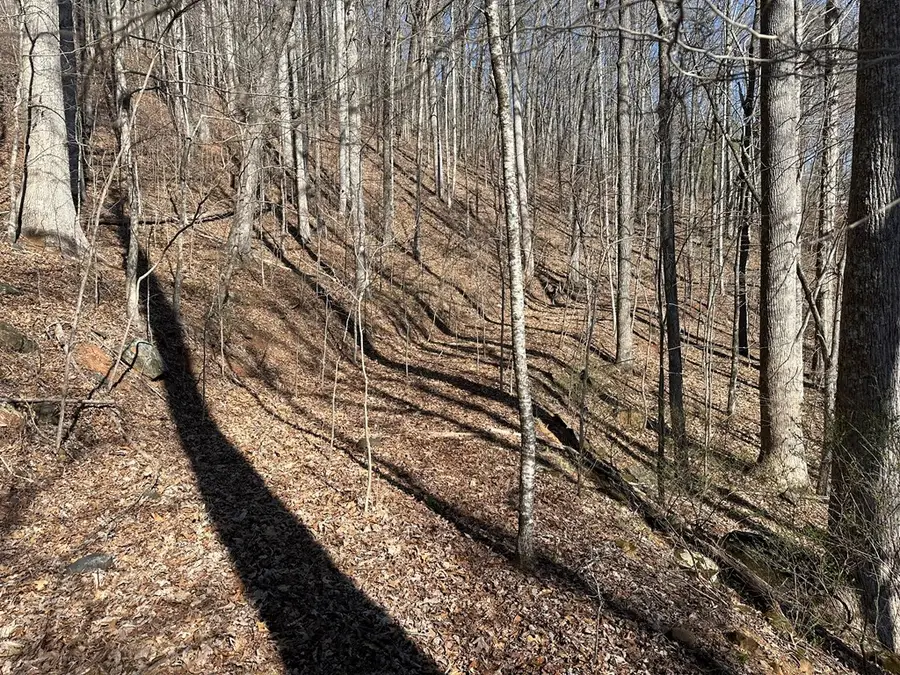 Lot 80 Asheland Cove, Young Harris, GA 30582 - #2