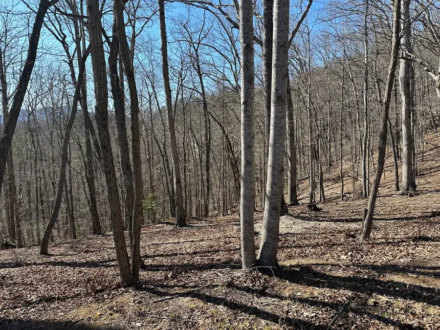 Lot 55 Asheland Cove, Young Harris, GA 30582 - #3