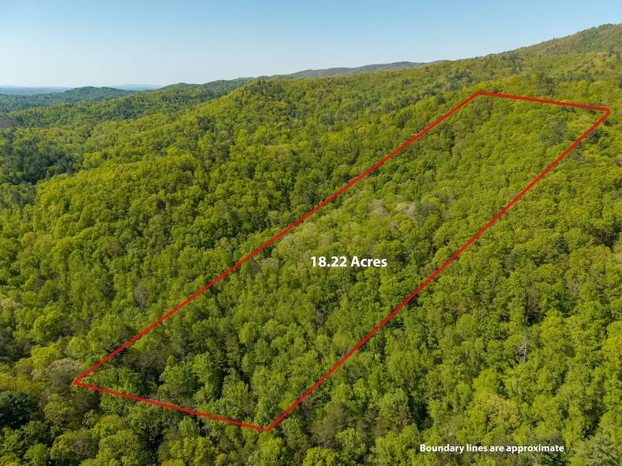 TR 1 Pleasant Hill Trail, Ellijay, GA 30540 - #2