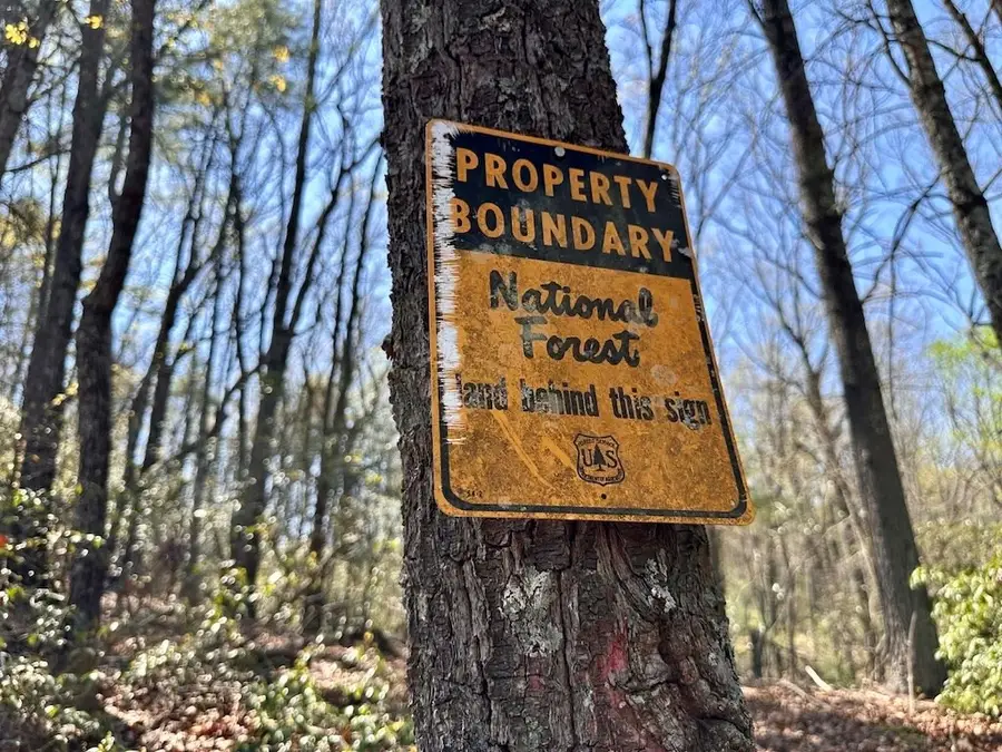 TR 1 Pleasant Hill Trail, Ellijay, GA 30540 - #3