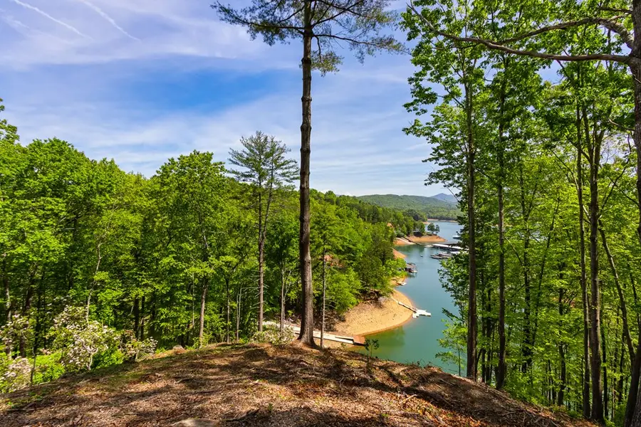 87 Snowbird Lane, Murphy, NC 28906 - #3