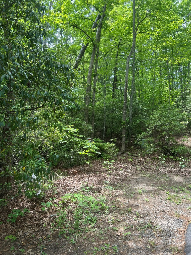 00 Sierra Springs Drive, Murphy, NC 28906 - #2