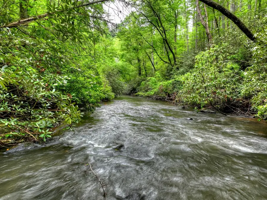 300 River Road, Cherry Log, GA 30522 - #3