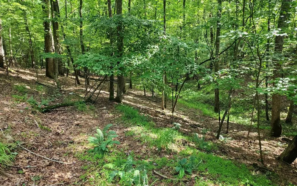 0 Oneida Circle, Ellijay, GA 30540 - #1