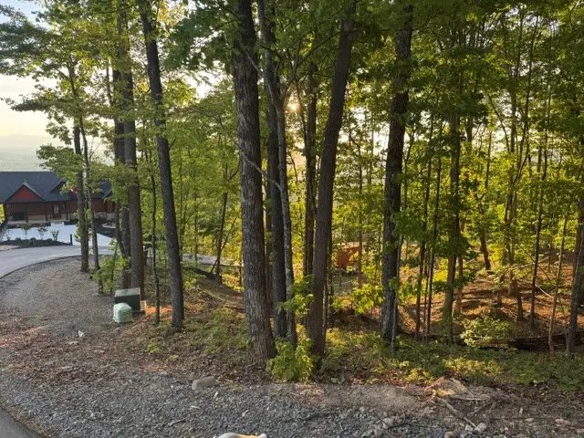 Lot 239 Kittatinny Drive, Mineral Bluff, GA 30559 - #2