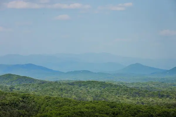 Lot 211 Catawba Drive, Mineral Bluff, GA 30559