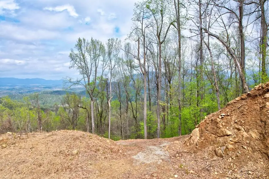 Lt 12&13 Greystone Trace, Ellijay, GA 30540 - #3