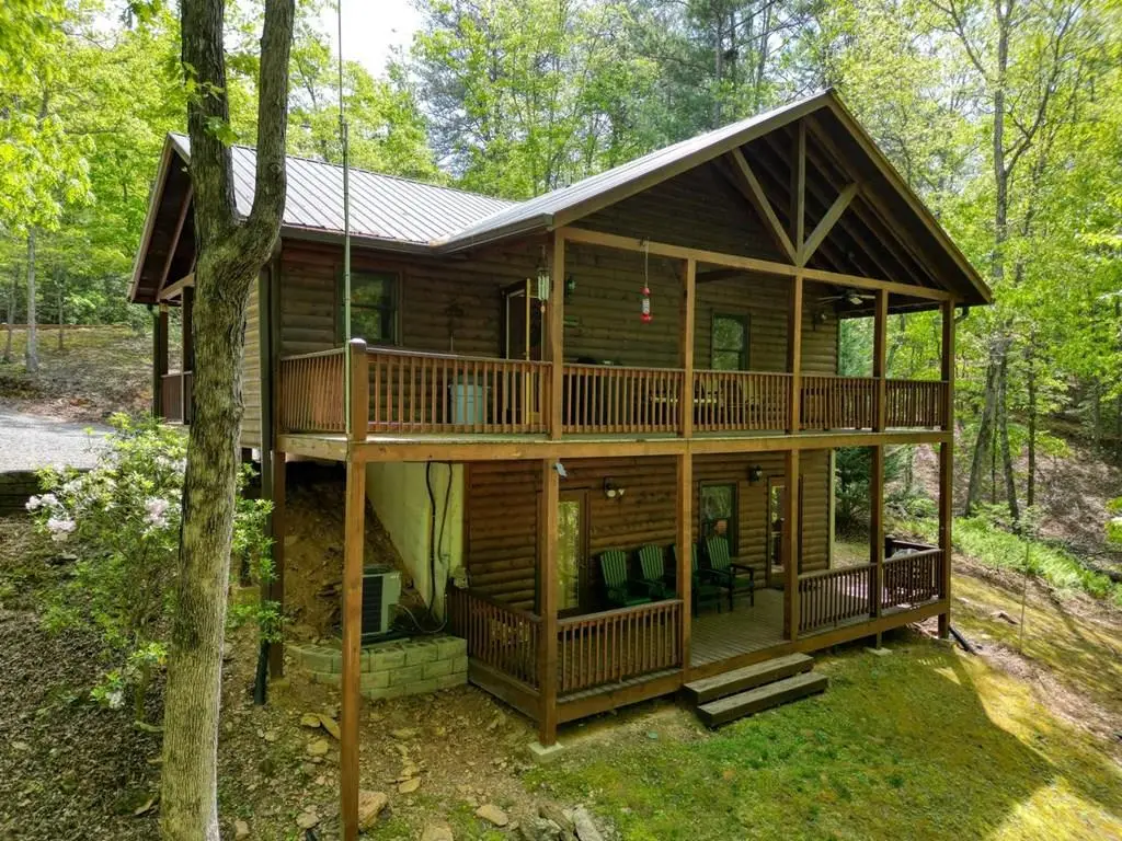 215 The Woods Road, Mineral Bluff, GA 30559 - #1