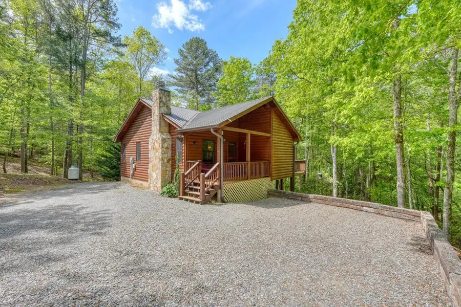 215 The Woods Road, Mineral Bluff, GA 30559 - #2