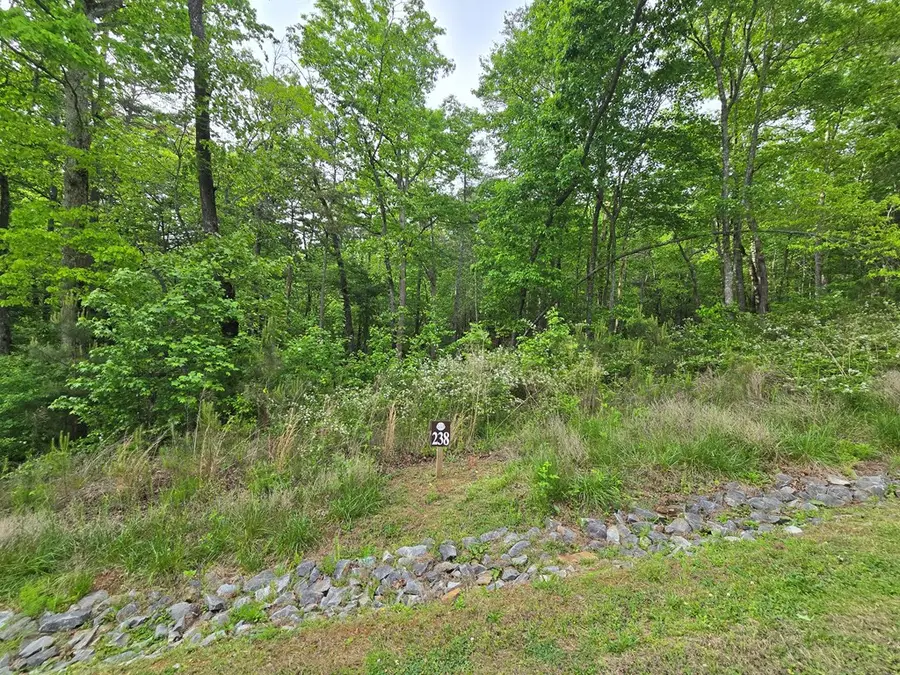 0 Pinnacle Dr, Ellijay, GA 30540 - #3