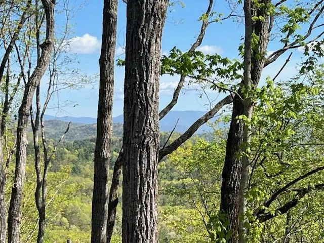 892 Morton Drive, Ellijay, GA 30540 - #3