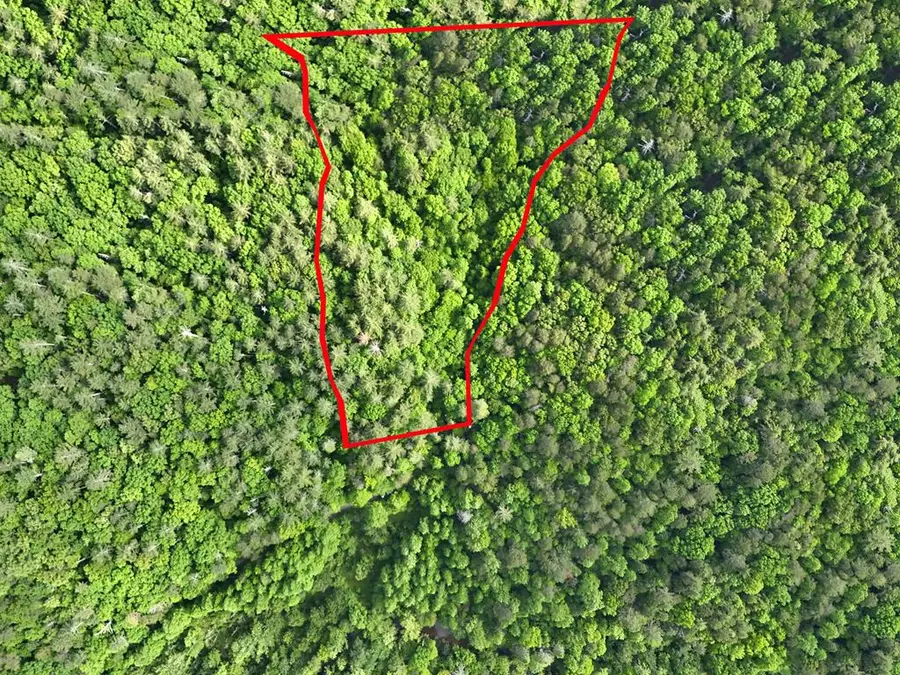 13 Acres Goose Island Road, Ellijay, GA 30540 - #2