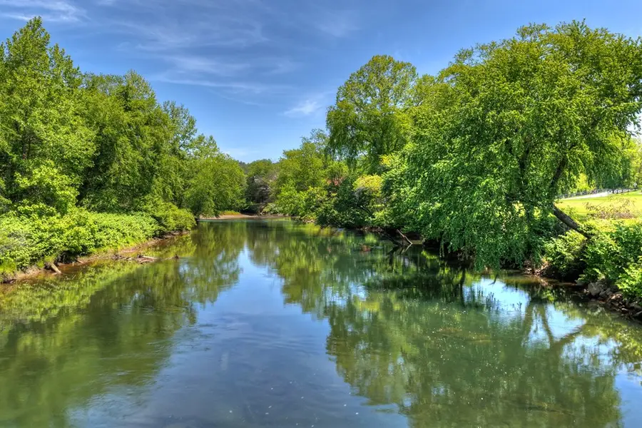 1753 Grassy Creek Road, Copperhill, TN 37317 - #3