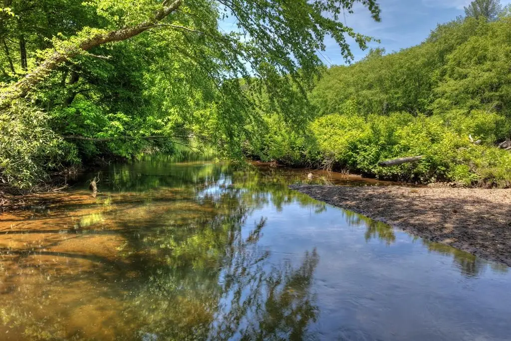 1717 Grassy Creek Road, Copperhill, TN 37317 - #1