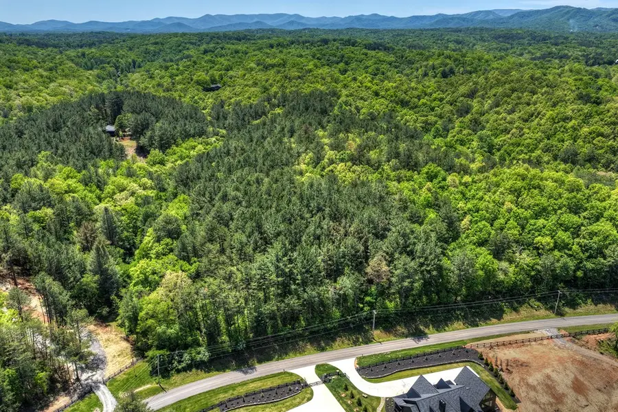 Lot 4 Grassy Creek Road, Copperhill, TN 37317 - #3