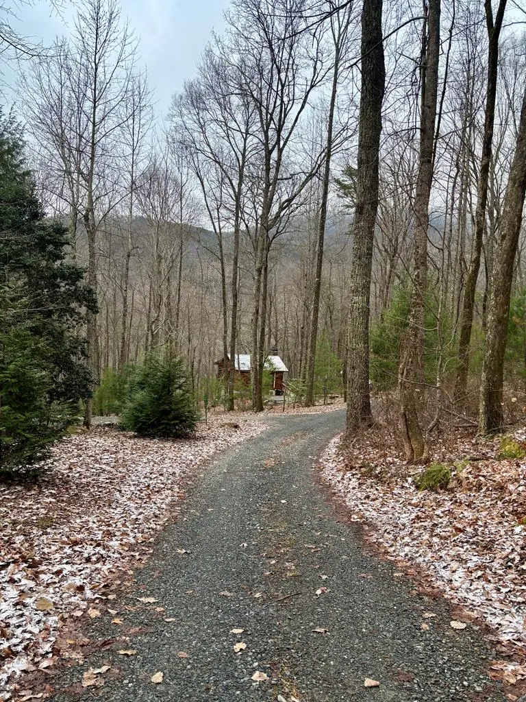 163 Little Rock Creek Trail, Cherry Log, GA 30522 - #3