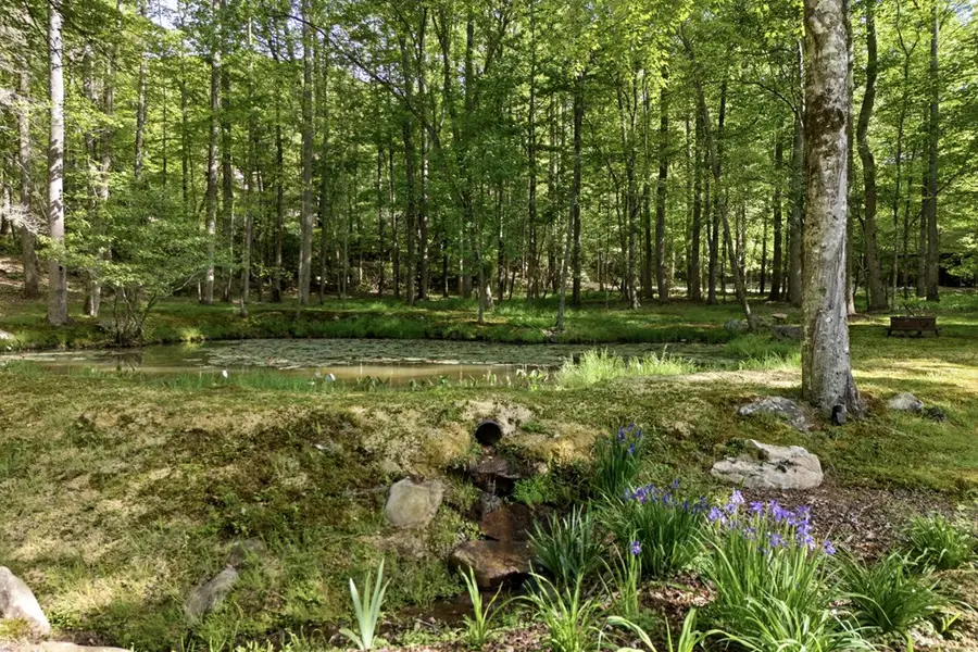 504 Compass Creek Drive, Hayesville, NC 28904 - #3