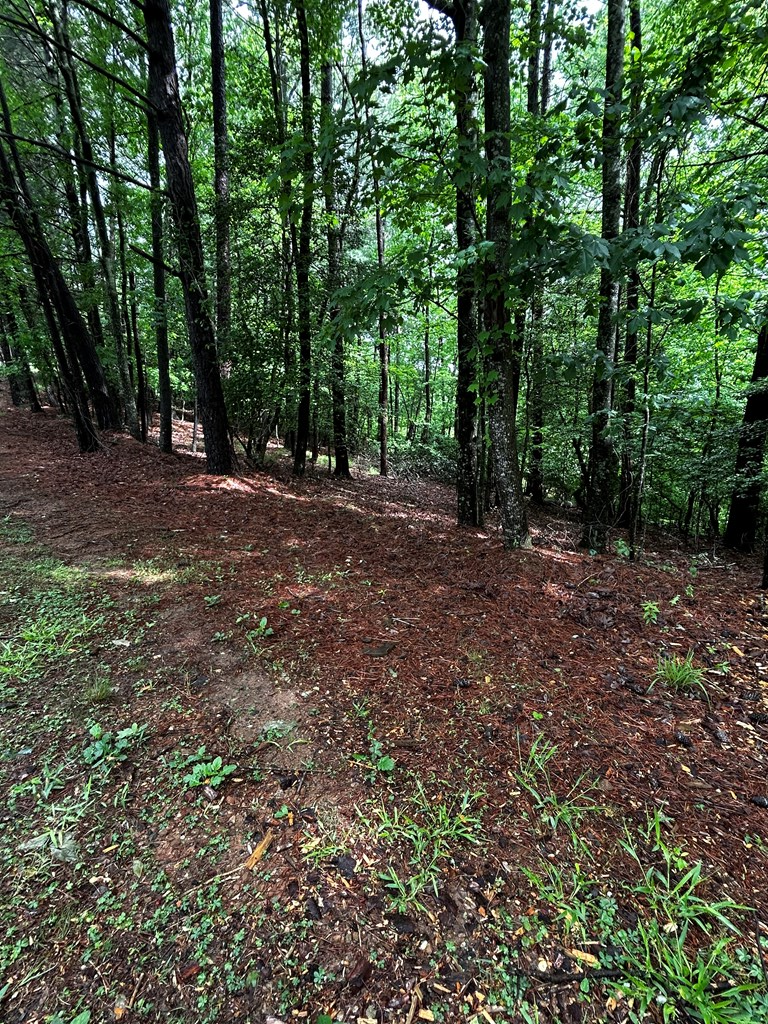 00 Lazy River Lane, Ellijay, GA 30540 - #2