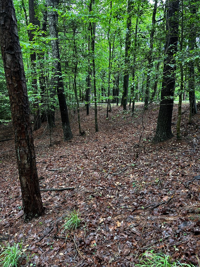 00 Lazy River Lane, Ellijay, GA 30540 - #3