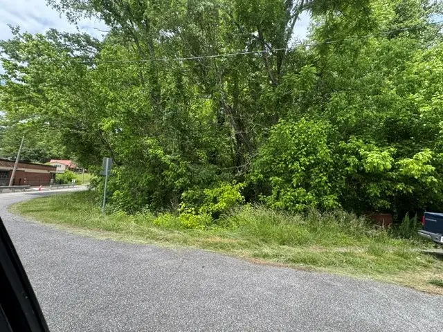 .90 acre Highland Street, Blue Ridge, GA 30513 - #2