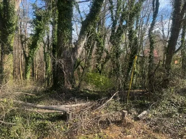 .90 acre Highland Street, Blue Ridge, GA 30513 - #3
