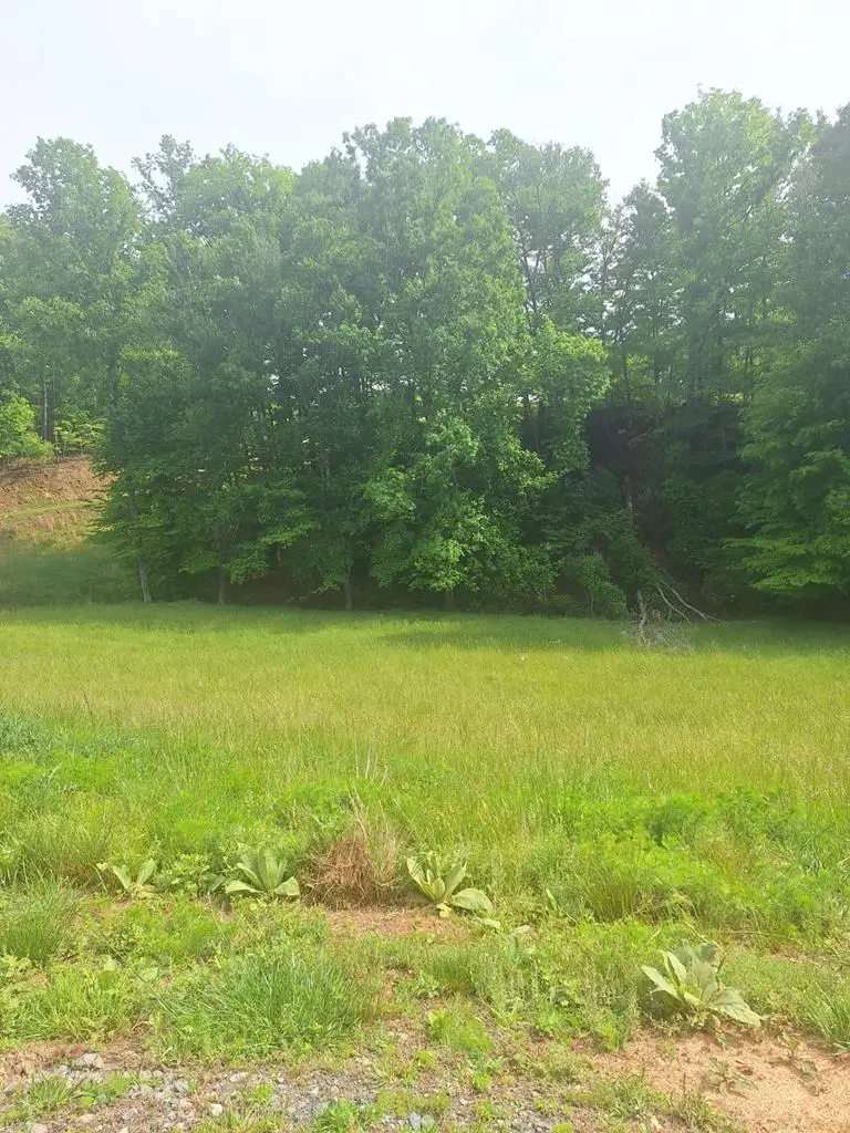 Lot 67 Hillside, Morganton, GA 30560 - #1