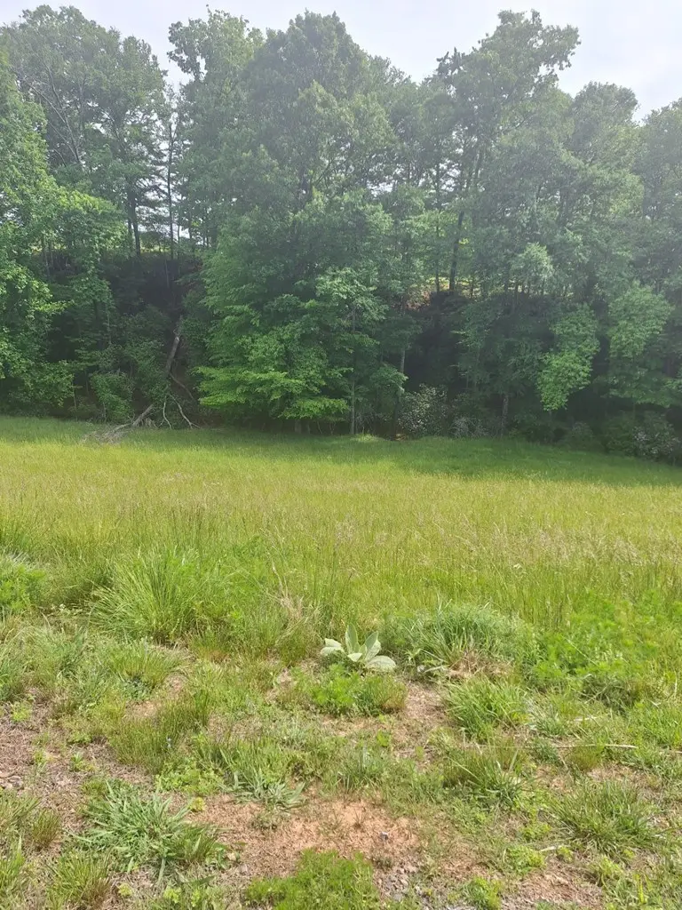 Lot 67 Hillside, Morganton, GA 30560 - #2