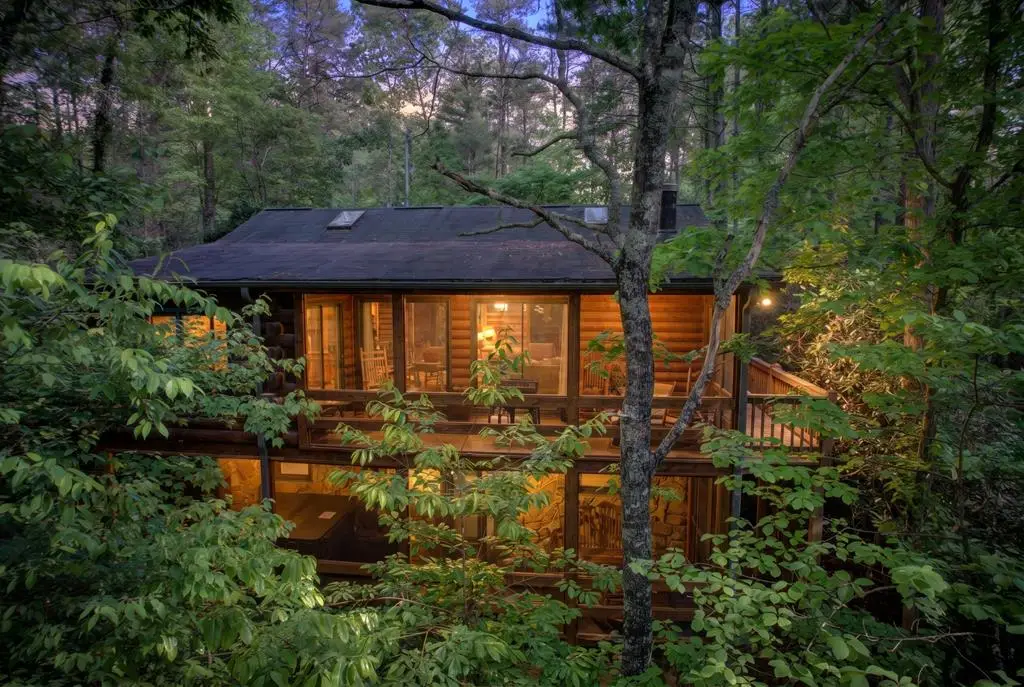 218 Bench Leg Road, Mineral Bluff, GA 30559 - #1