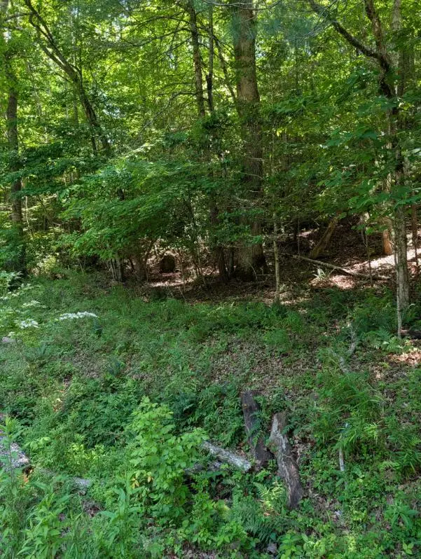 00 Talc Mine Road, Murphy, NC 28906 - #1
