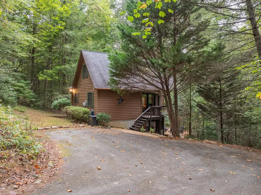 60 Icy Lane, Blue Ridge, GA 30513 - #2